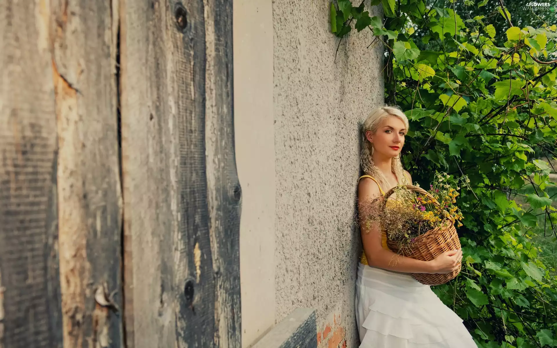 wild, flowers, house, basket, Blonde