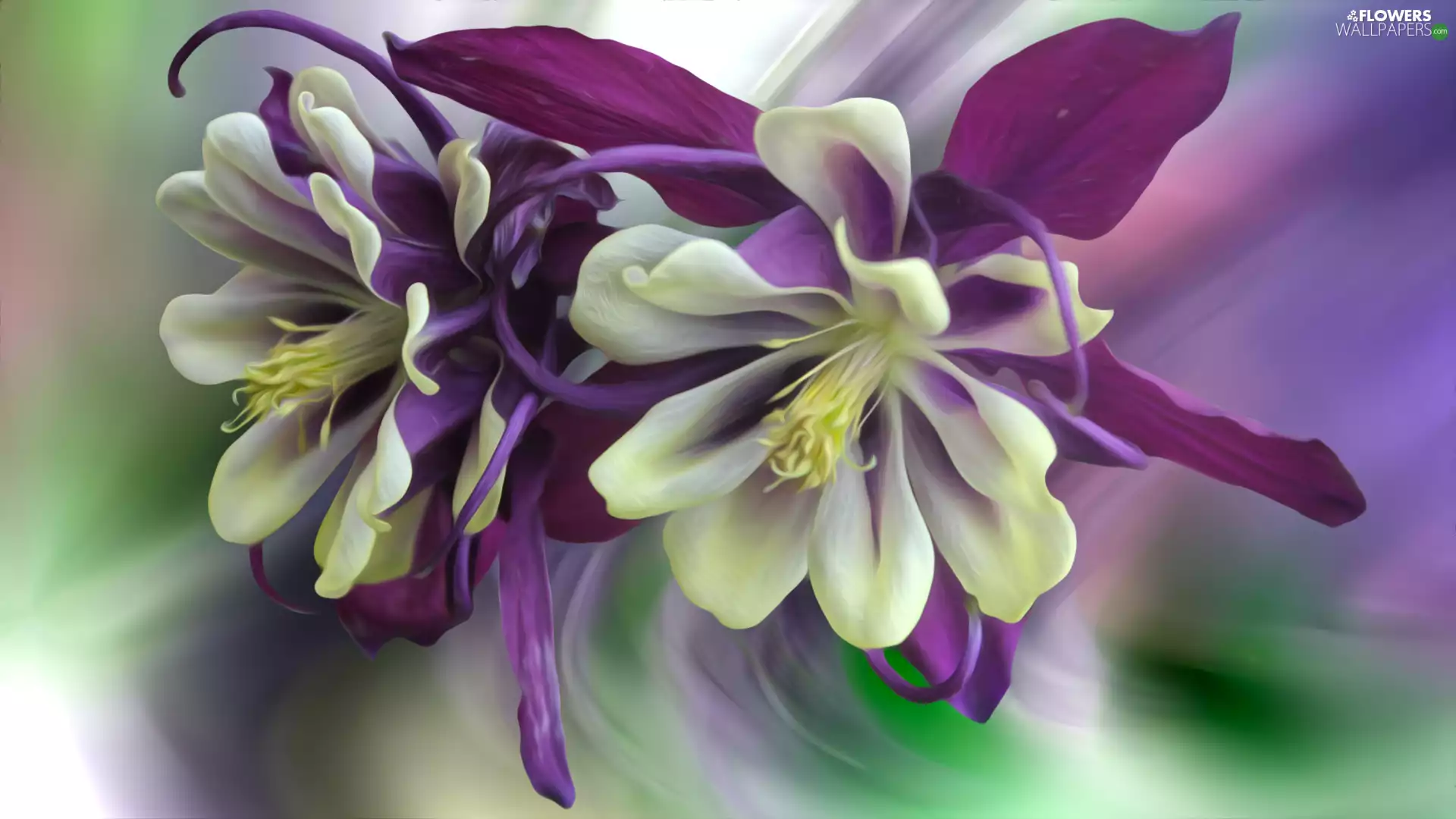 Flowers, William Guiness, graphics, columbine