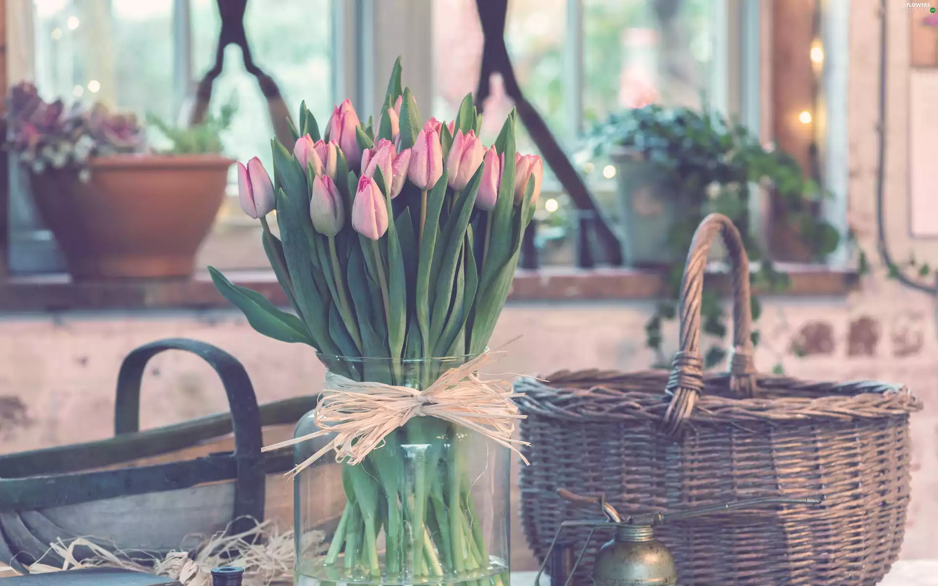 Baskets, Window, bouquet, Vase, Tulips