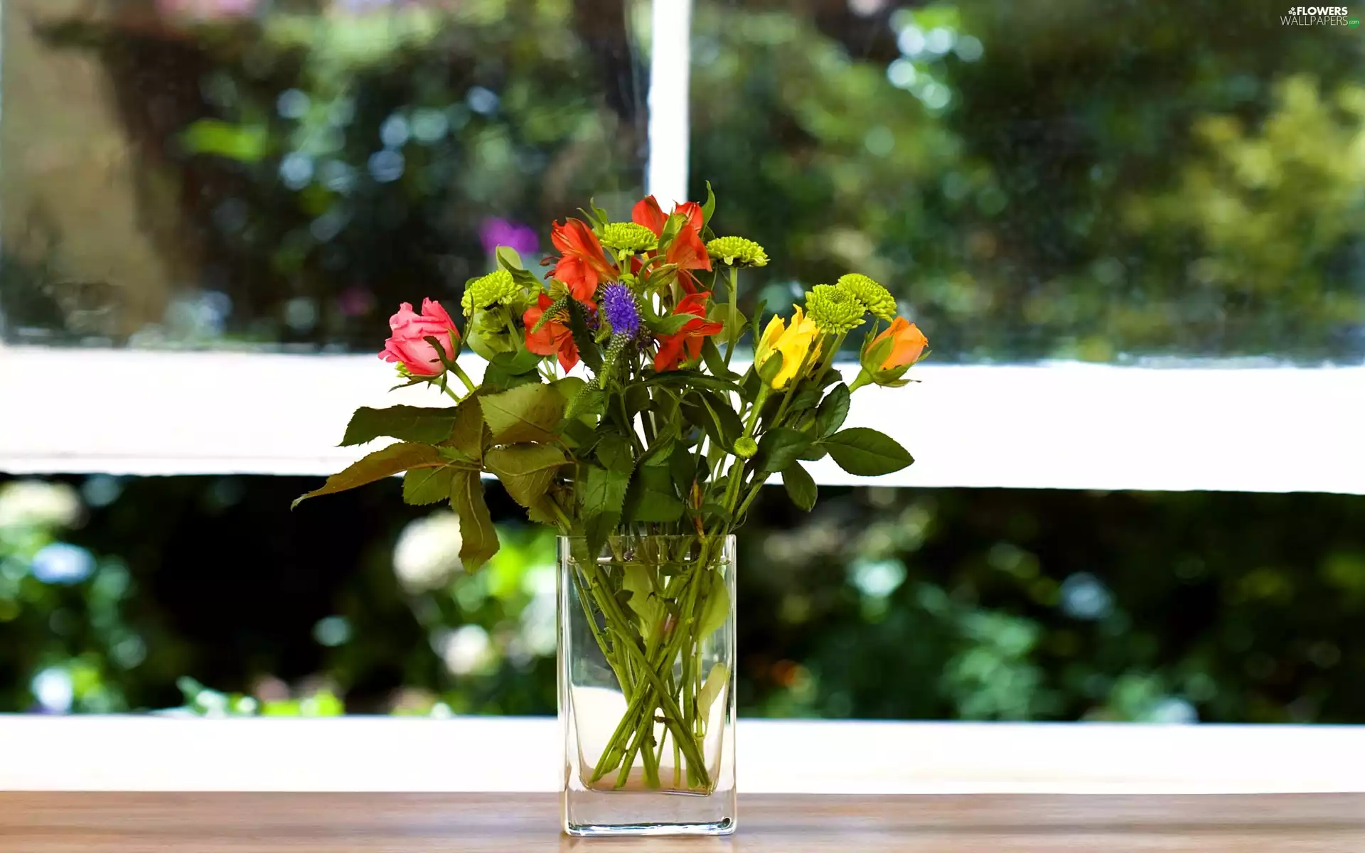 bouquet, Vase, Window, flowers