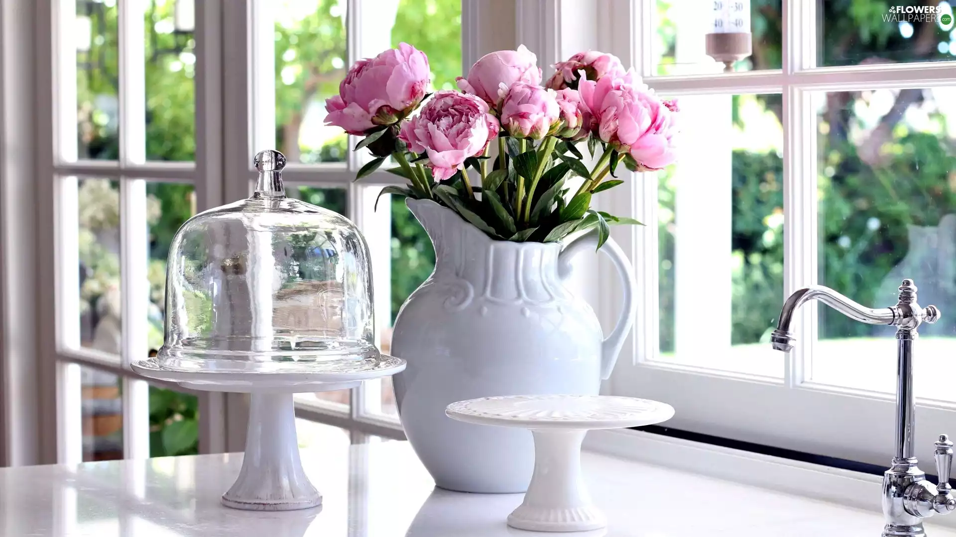 jug, Window, Peonies, Plates, bouquet