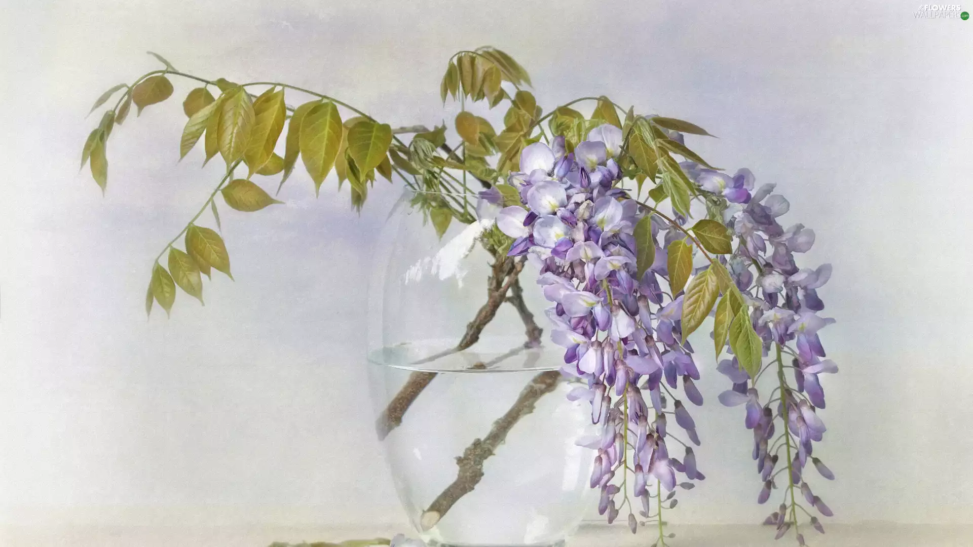 Flowers, twig, Vase, wistaria