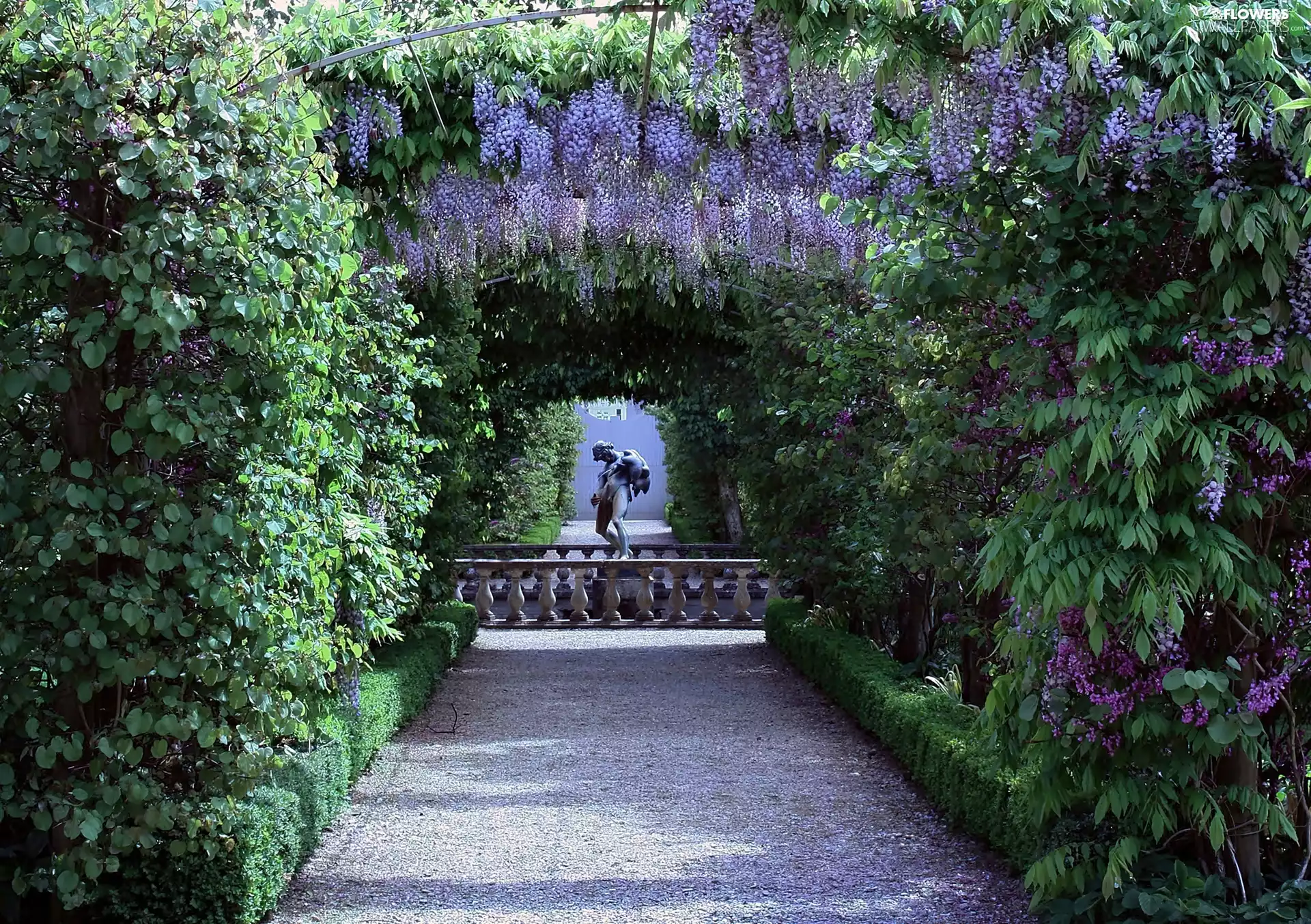 Park, Wisteria, Statue monument, Blossoming