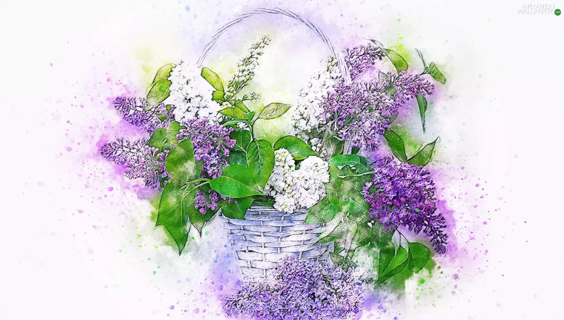 bouquet, basket, Paintography, without