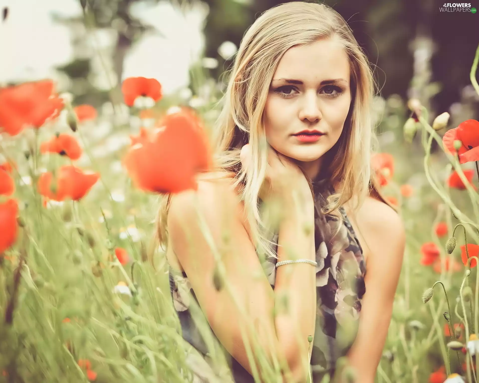 Blonde, Field, papavers, Women