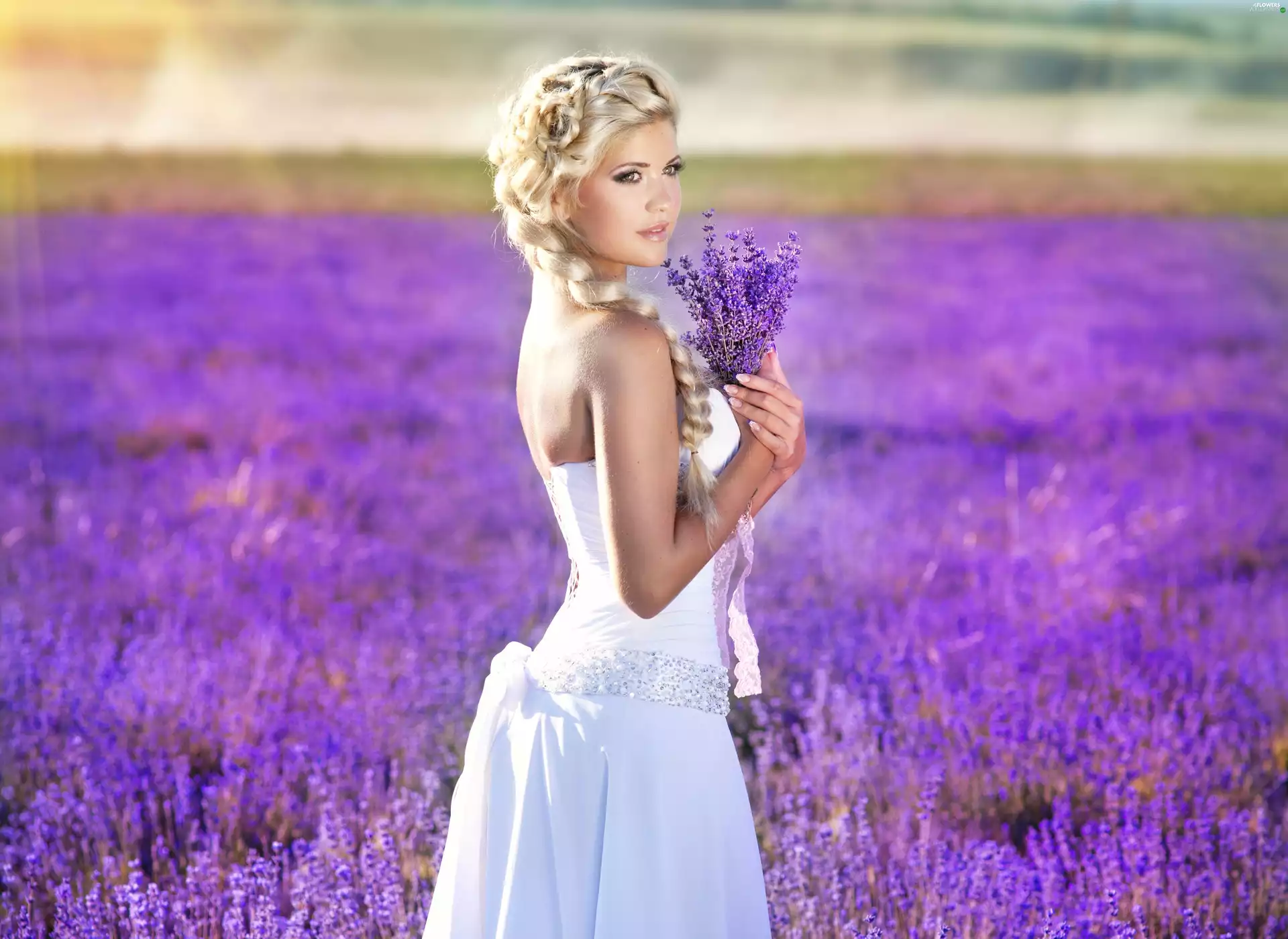 Women, Field, lavender