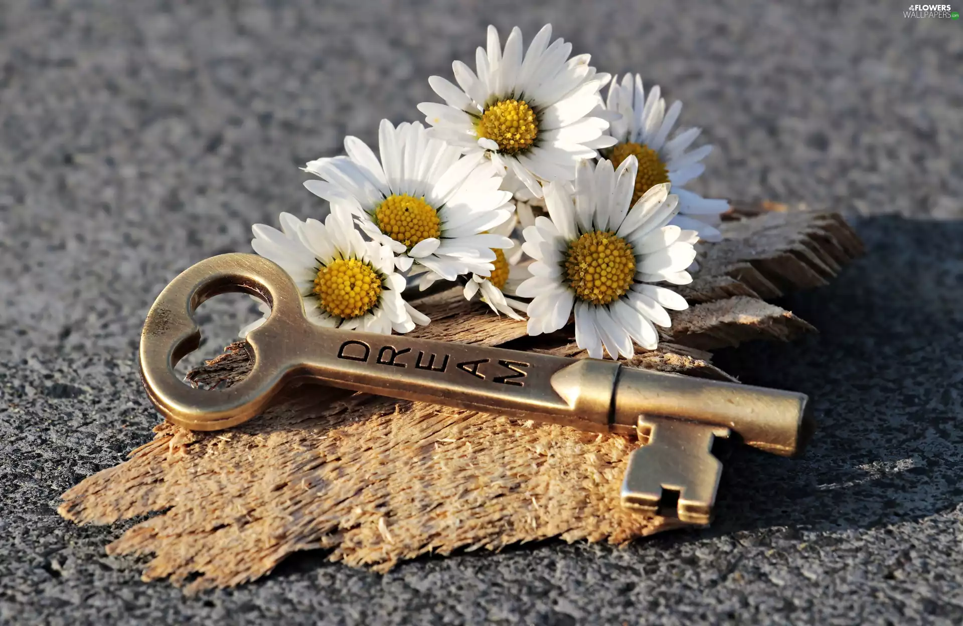 piece, wood, daisies, Key, White
