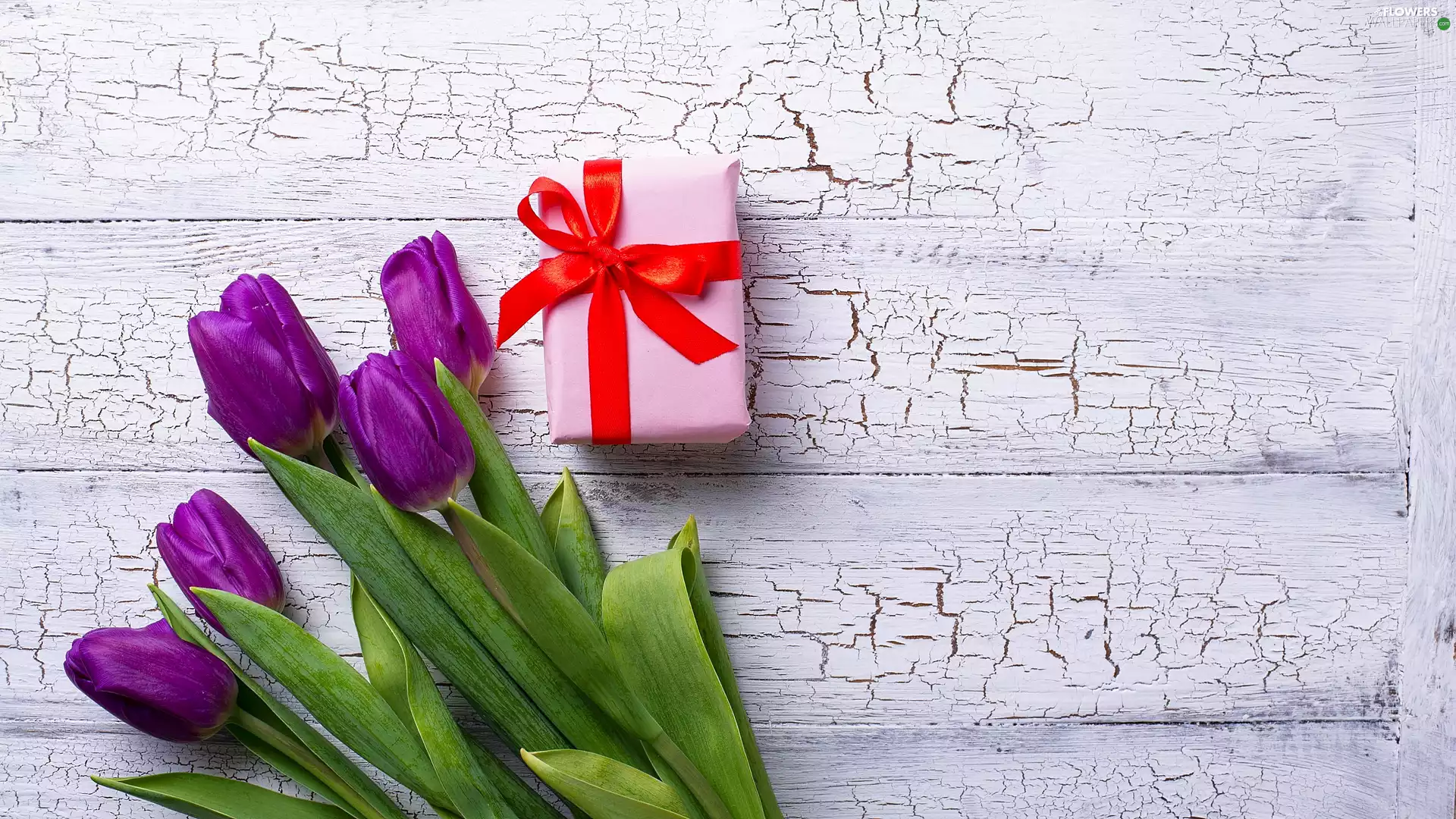 cracked, Wood, Tulips, Present, purple