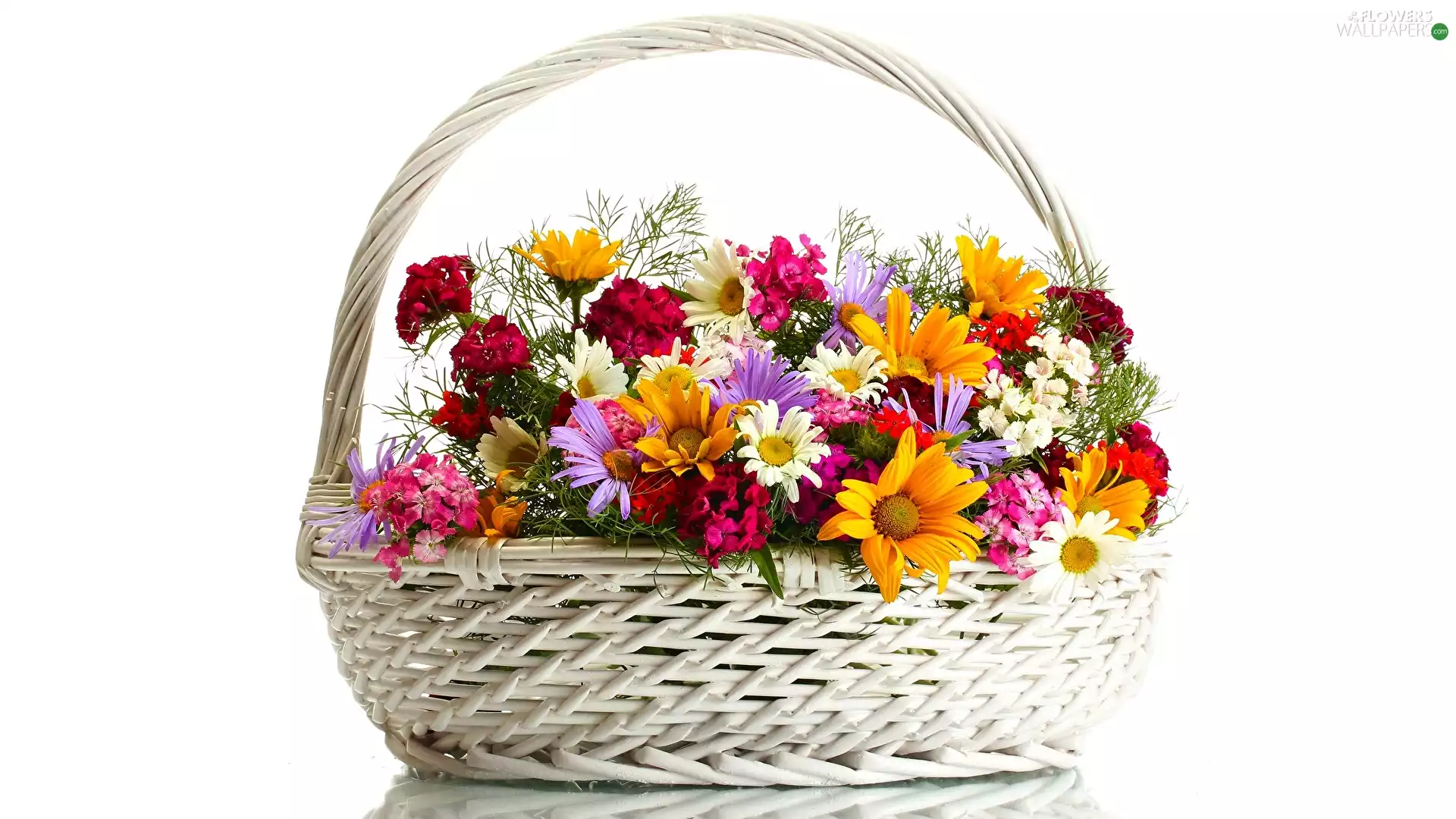 bouquet, Flowers, basket-work, basket, White