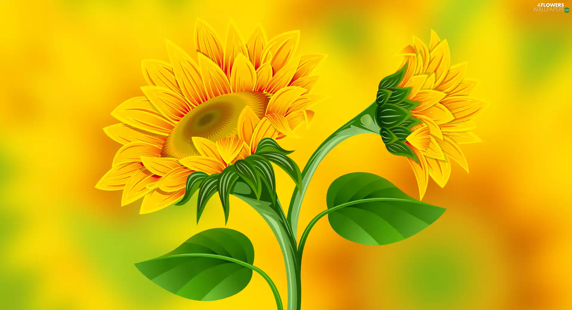 background, decorative Sunflowers, Yellow
