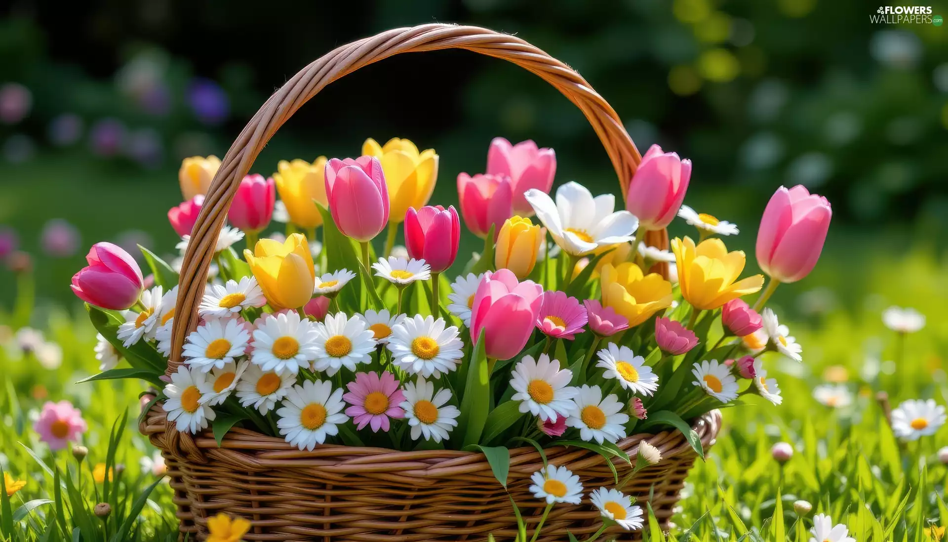 Pink, daisies, bouquet, Yellow, Flowers, Tulips, basket