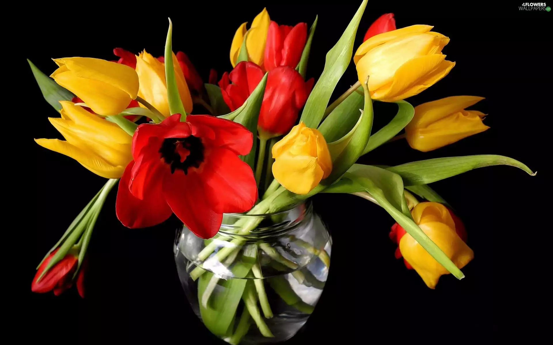 bouquet, red, tulips, yellow