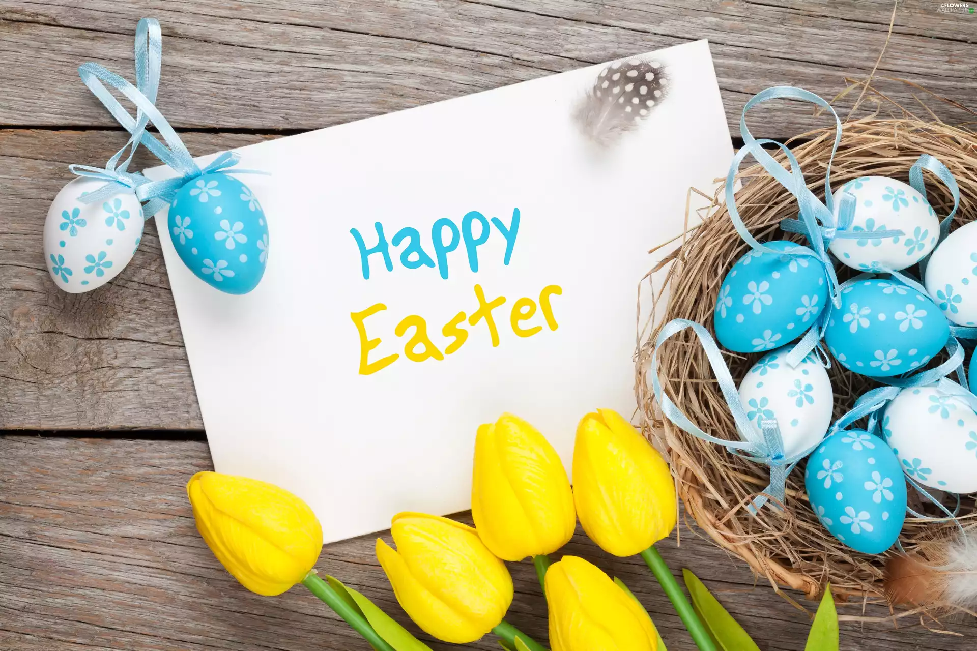 Yellow, Easter, Tulips, basket, boarding, pen, card, Wishes, eggs