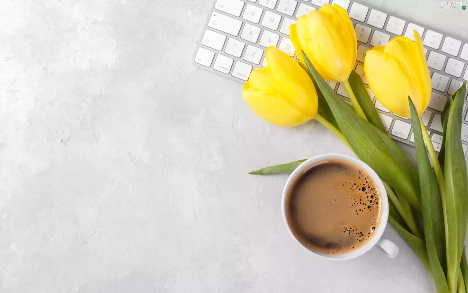 Tulips, Three, coffee, Yellow, Flowers, keyboard, cup