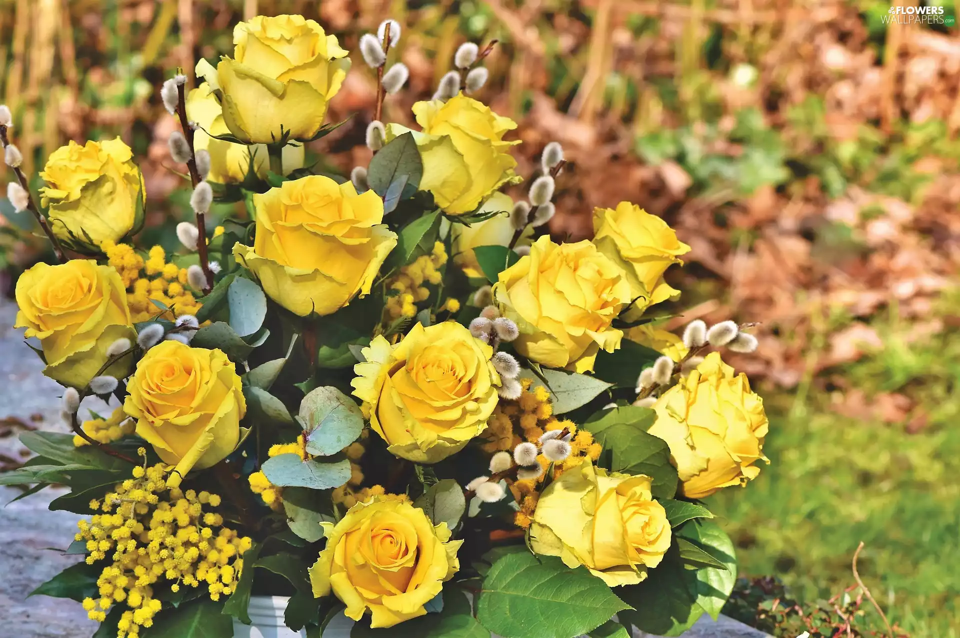 Flowers, roses, database, Yellow