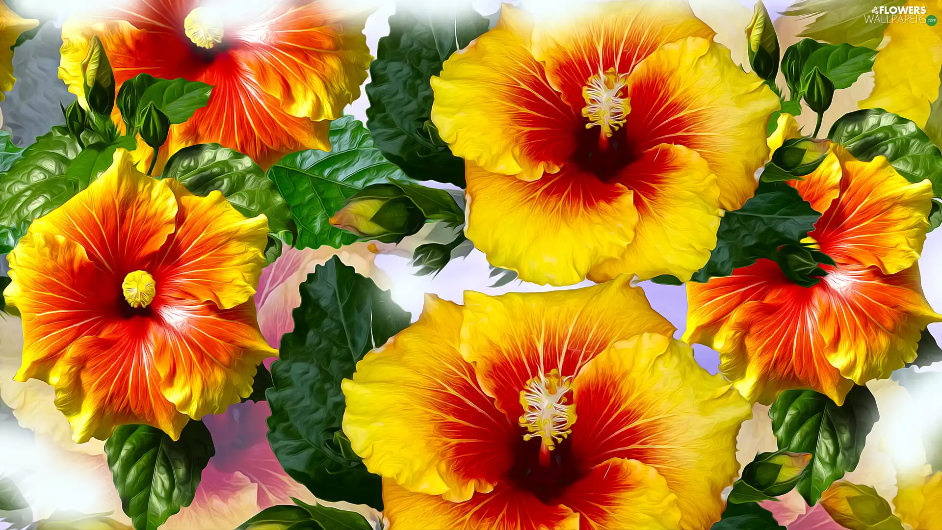 Flowers, hibiscus, graphics, Yellow
