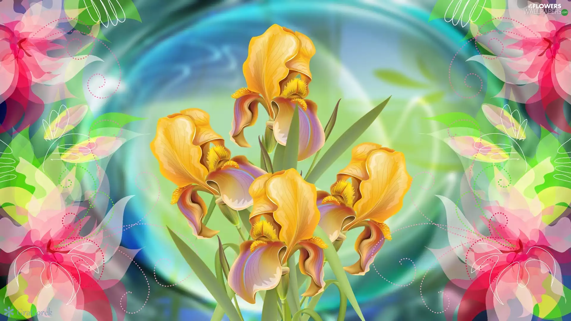 Flowers, Irises, graphics, Yellow