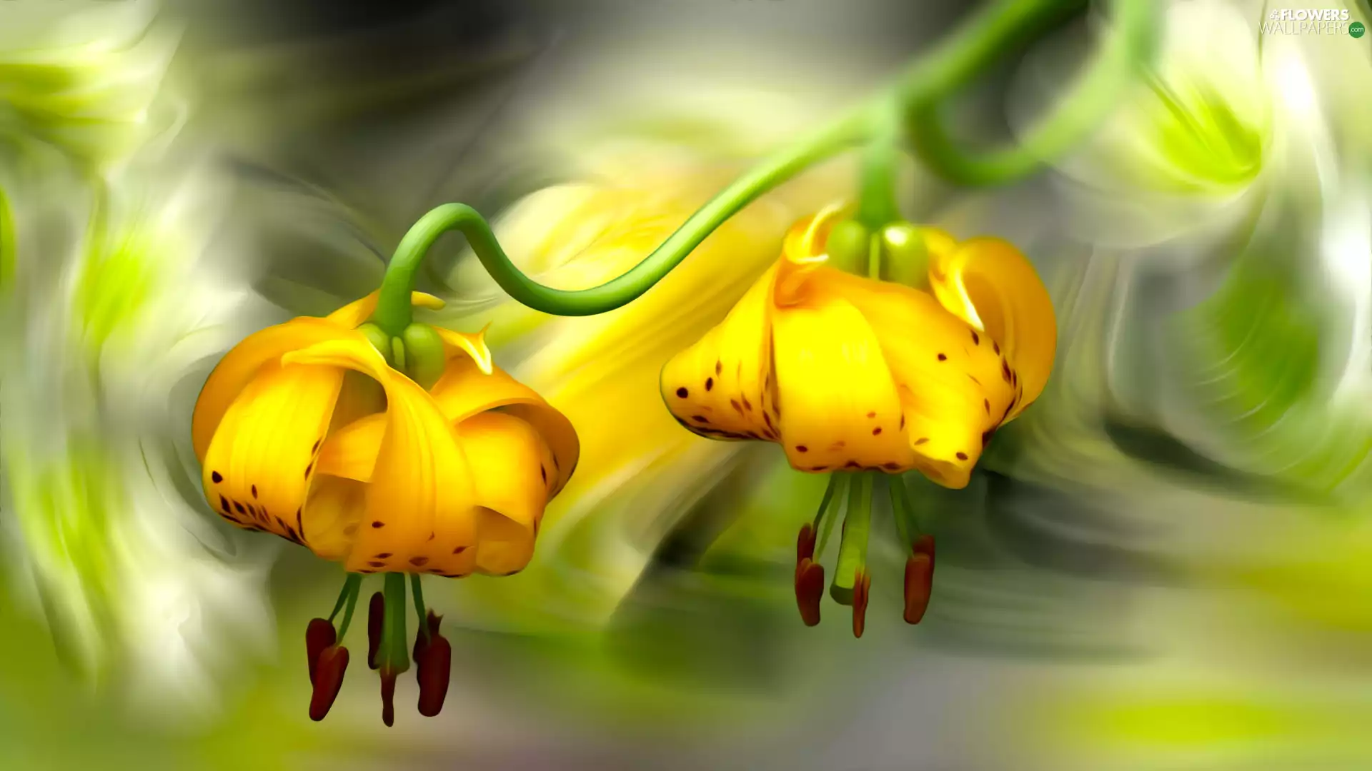 Flowers, lilies, graphics, Yellow