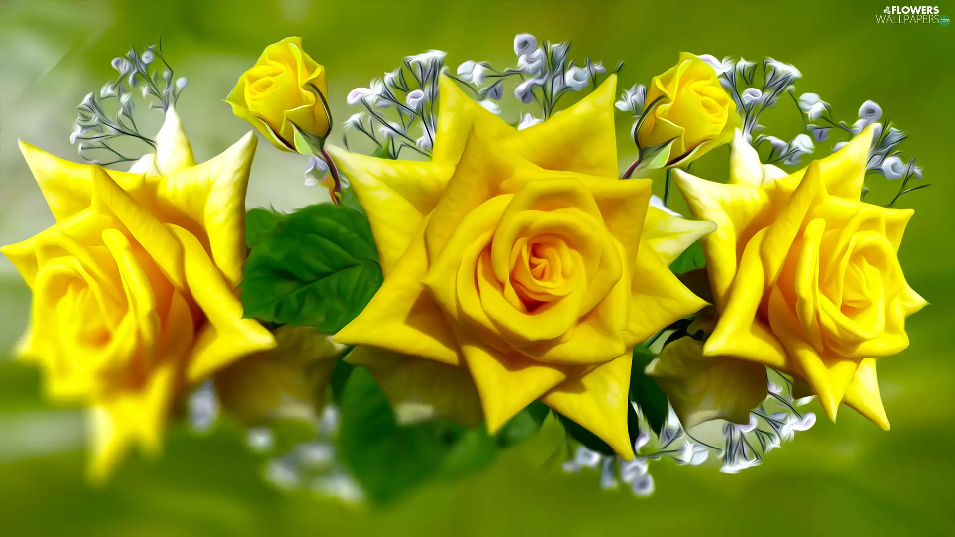 Flowers, roses, graphics, Yellow