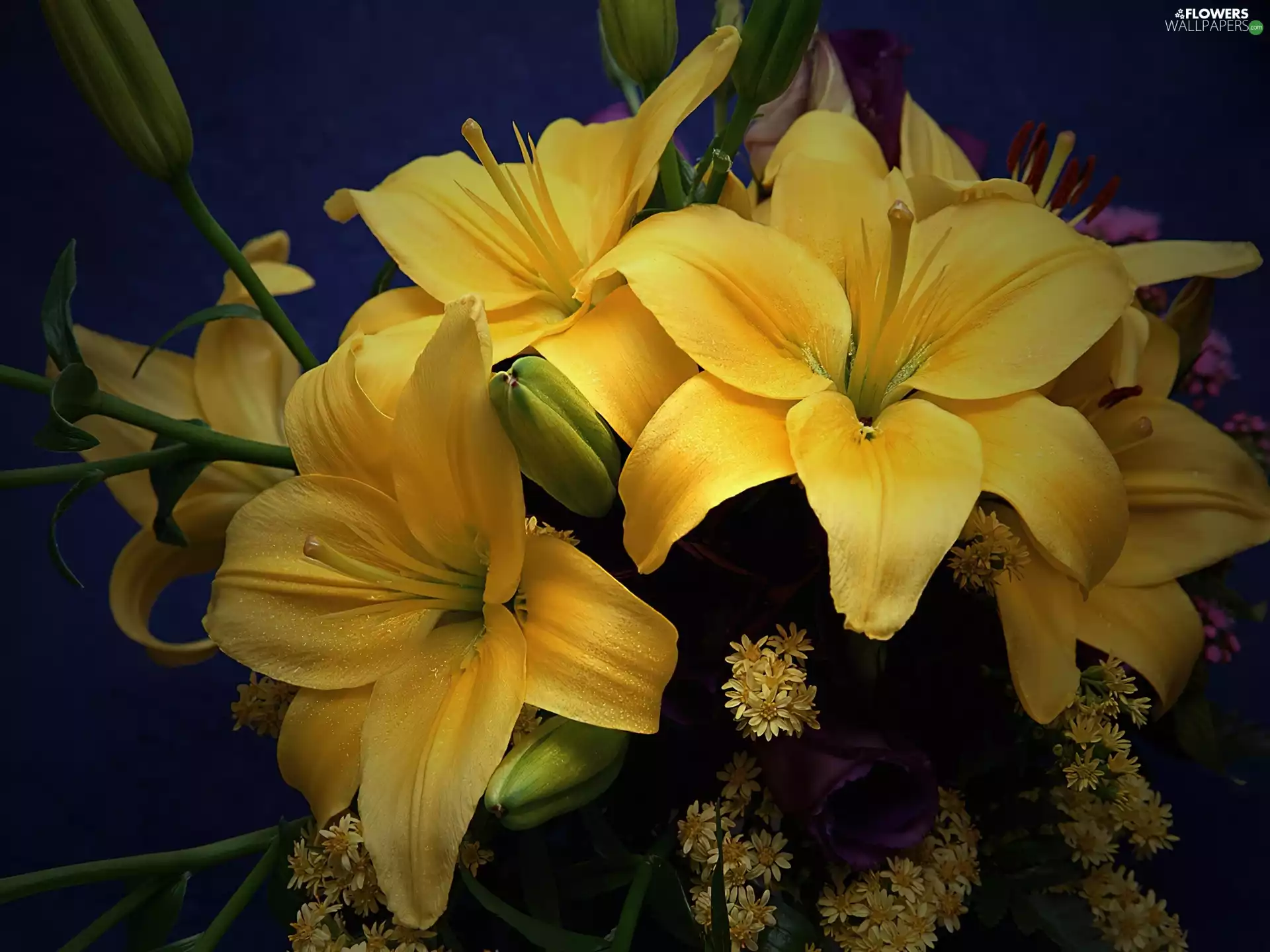 Yellow, lilies