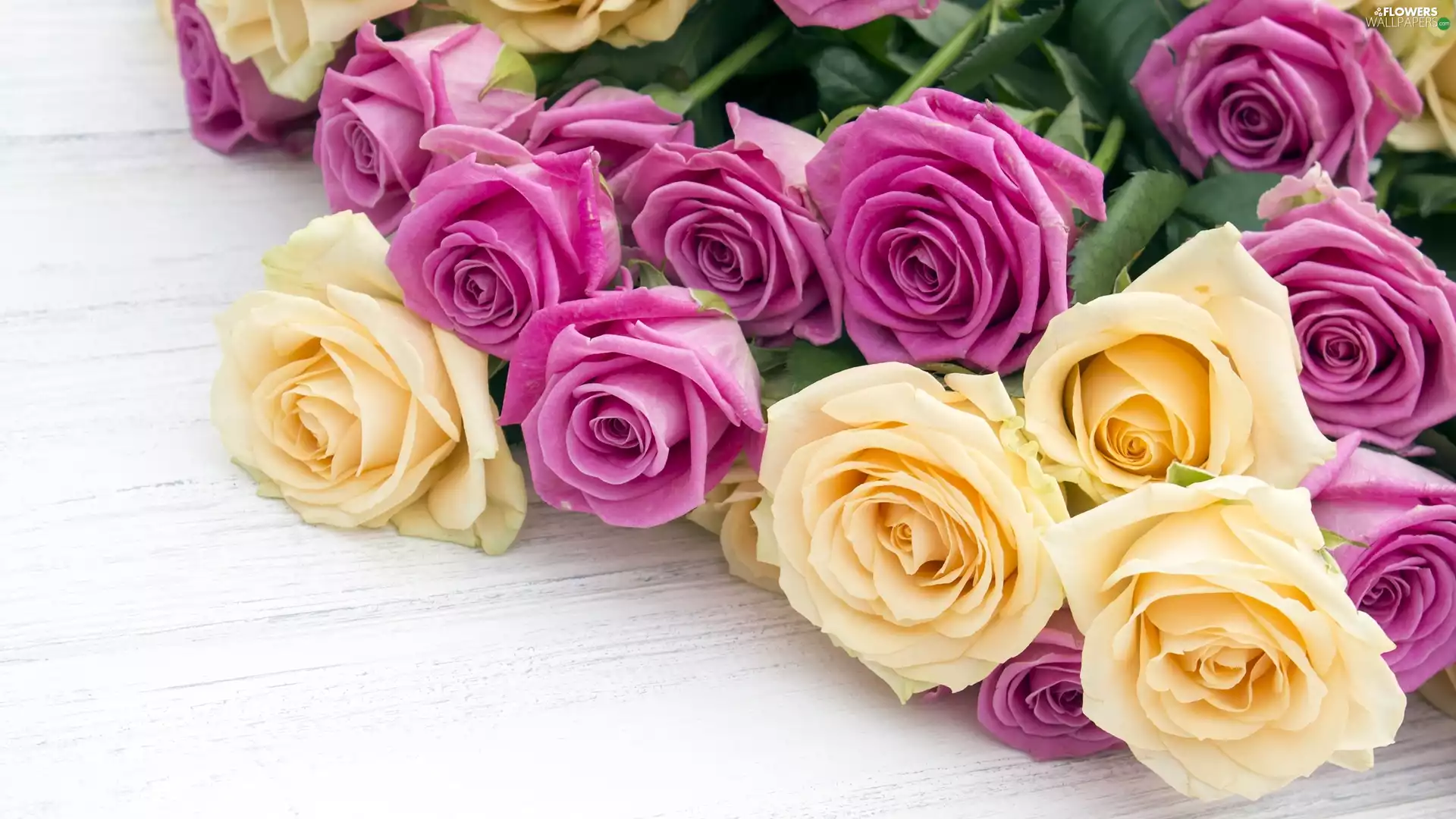 Pink, roses, bouquet, Yellow