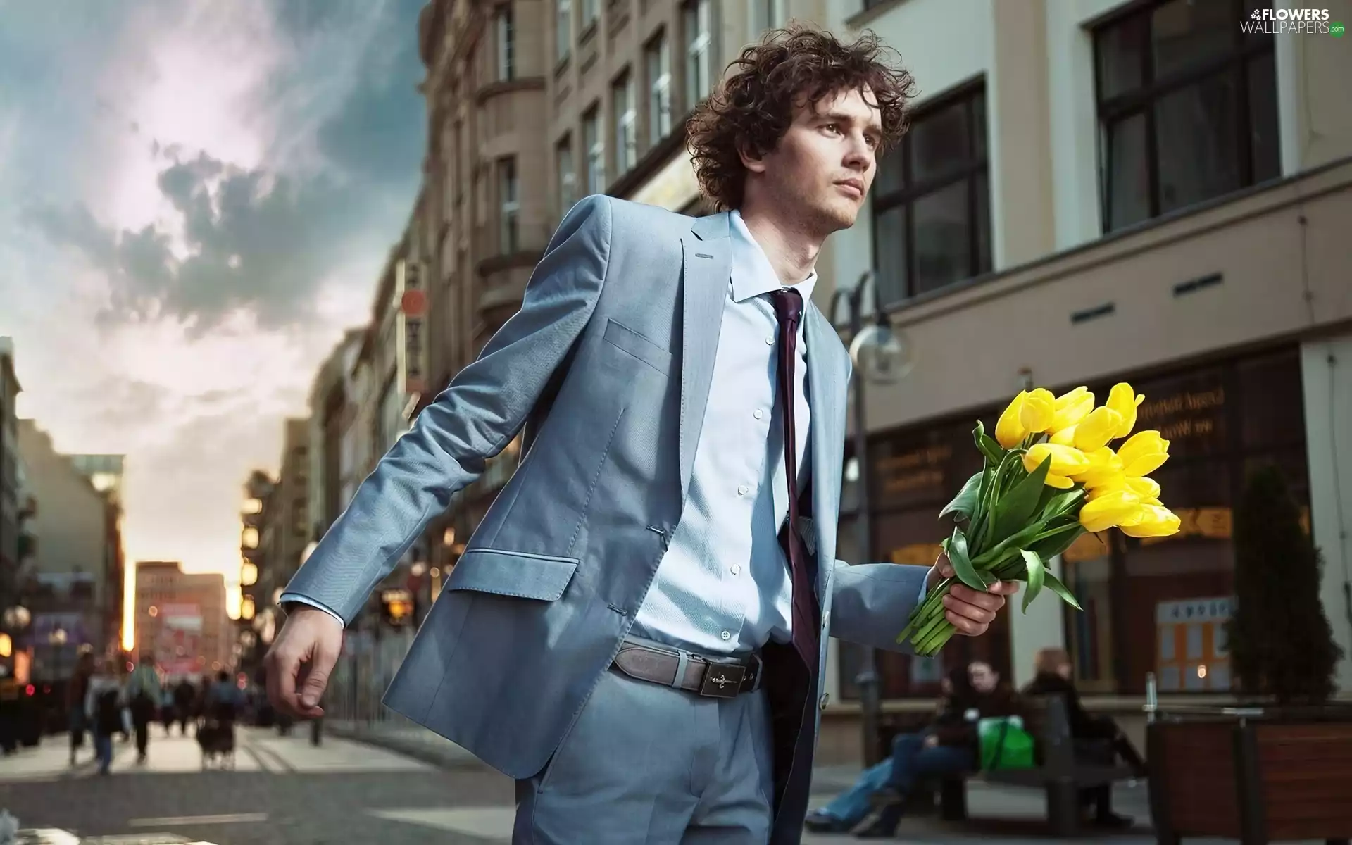a man, Town, Yellow, Tulips, suite, Street