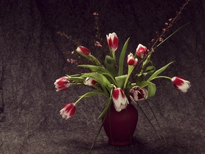 adoption, Vase, Tulips