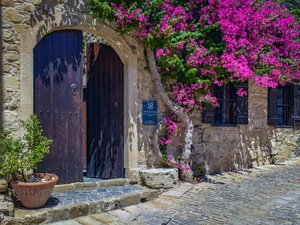 front, Doors, Bougainvillea, Windows, trees, house, stone, alley
