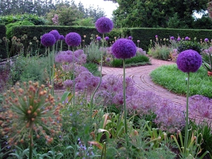 Garden, decorated, Alleys, garlic