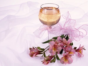 Alstroemeria, Champagne, ribbon