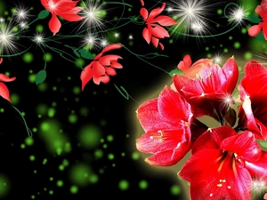 graphics, Flowers, amaryllis, Red