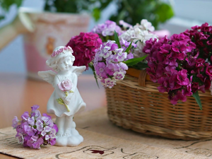 figure, decoration, basket, angel, Sweet William