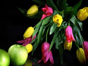 color, green ones, apples, Tulips