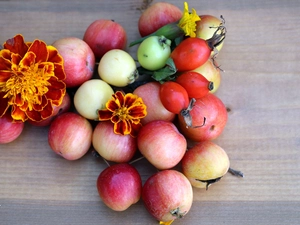 Fruits, apples, Tagetes, wild Rose