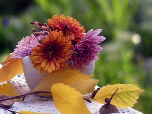 small bunch, twig, autumn, chrysanthemums