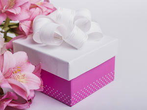 Bright, background, Alstroemeria, Present, Flowers