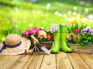 podium, primroses, Baskets, Supplies, Hat, Flowers, Two cars, blurry background, tools, wellingtons