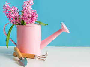 rake, Hyacinths, Blue, watering can, Pink, Blade, background