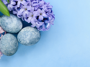 Blue, background, eggs, Hyacinths, Easter