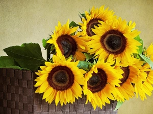 basket, Brown, background, Nice sunflowers
