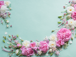 Flowers, White, Blue, background, Peonies, Pink