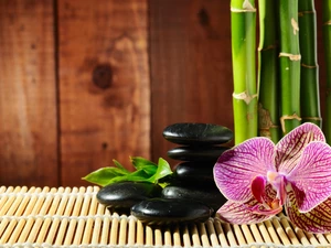 orchid, mat, bamboo, Stones