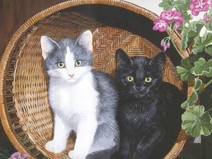 Flowers, geraniums, cats, basket, Two cars