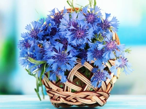 basket, bouquet, cornflowers