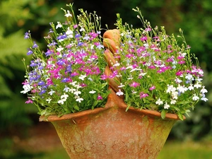 basket, lobelia, earthen