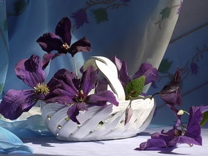 White, basket, Flowers, Clematis, purple