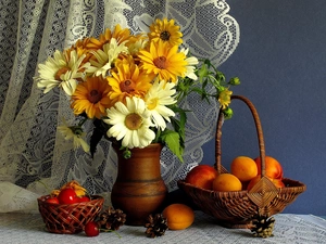 basket, daisy, orange