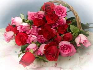 roses, basket