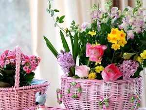 Baskets, Two cars, Bouquets, Flowers, Freesias, roses, Tulips, Daffodils, Hyacinths