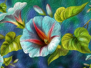 Flowers, Leaf, graphics, bindweed